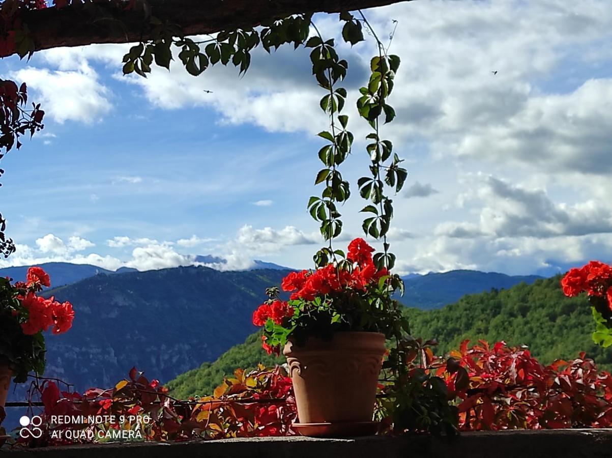 Casa Rural Vilaspasa, Alquiler Integro Gotarta 외부 사진