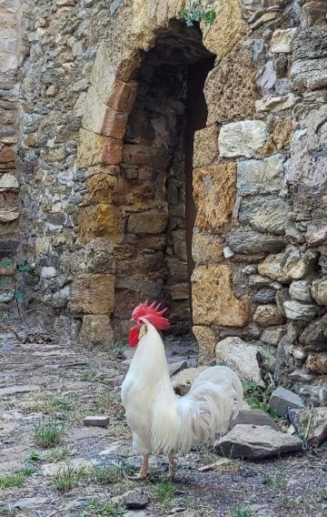 Casa Rural Vilaspasa, Alquiler Integro Gotarta 외부 사진